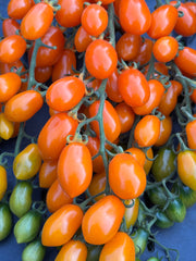 Load image into Gallery viewer, Tomato, 'Orange Datterini'