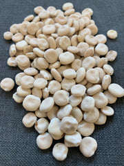 Load image into Gallery viewer, Sweet Lupine, 'Dieta'