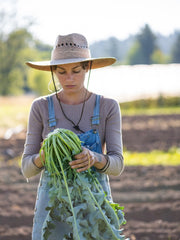 Load image into Gallery viewer, Broccoli, 'Broccolo Fiolaro di Creazzo'