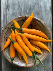 Load image into Gallery viewer, Hot Pepper, 'Criolla Sella'