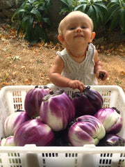 Load image into Gallery viewer, Eggplant, 'Violetta di Firenze'