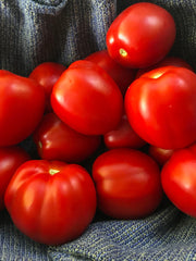Load image into Gallery viewer, Tomato, 'Northern Ruby'