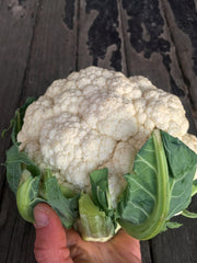 Load image into Gallery viewer, Cauliflower, 'Prestige'