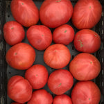 Load image into Gallery viewer, Tomato, 'Cuore Antico di Acqui Terme'
