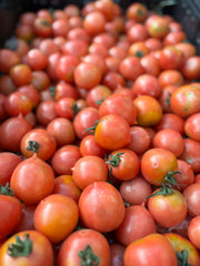 Load image into Gallery viewer, Tomato, 'Del Tonet'
