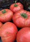 Tomato, 'Kurtovo Konare'