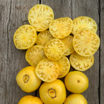 Load image into Gallery viewer, Tomato, &#39;Sandburg&#39;
