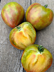 Load image into Gallery viewer, Tomato, &#39;Taiga&#39;
