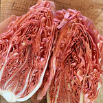 Load image into Gallery viewer, Radicchio (Rosa del Veneto), &#39;Jolanda&#39;
