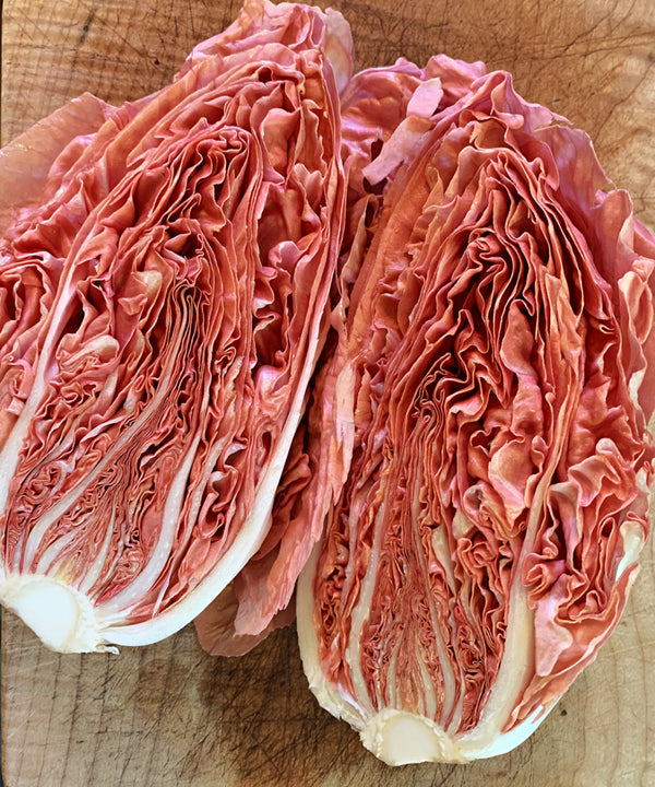 Radicchio (Rosa del Veneto), 'Jolanda'