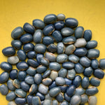 Load image into Gallery viewer, Bean, Pole Dry, &#39;San Bernardo Blue&#39;
