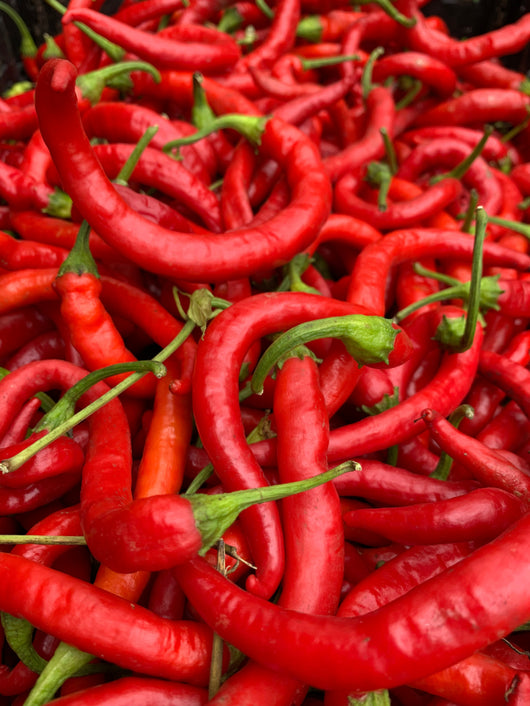 Hot Pepper, 'Aci Sivri'