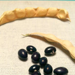 Load image into Gallery viewer, Bean, Pole Dry, &#39;Tolosa&#39;
