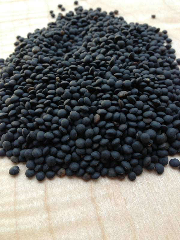 Lentil, 'Black'