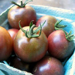 Load image into Gallery viewer, Tomato, &#39;Black Cherry&#39;
