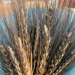 Load image into Gallery viewer, Wheat, &#39;Black Eagle&#39;
