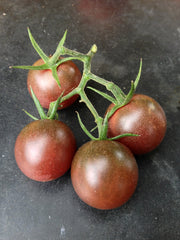 Load image into Gallery viewer, Tomato, &#39;Black Cherry&#39;
