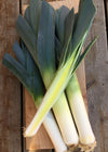 Leek, 'Blaugruner Avano'