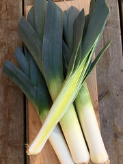 Load image into Gallery viewer, Leek, &#39;Blaugruner Avano&#39;
