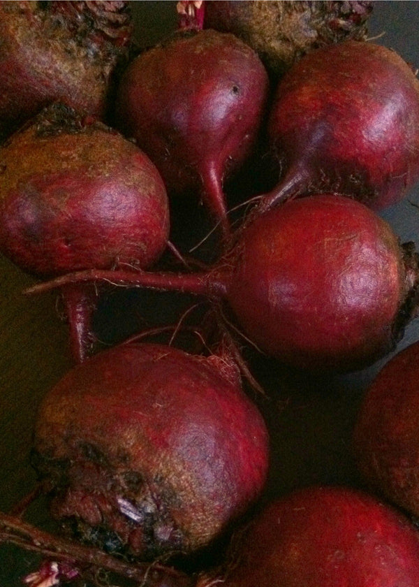 Beet, 'Boston'