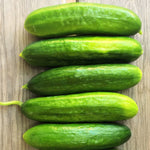 Load image into Gallery viewer, Cucumber, &#39;Çengelköy&#39;
