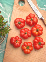 Load image into Gallery viewer, Tomato, &#39;Ceylon&#39;
