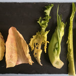 Load image into Gallery viewer, Curly Endive, &#39;Bellesque&#39;
