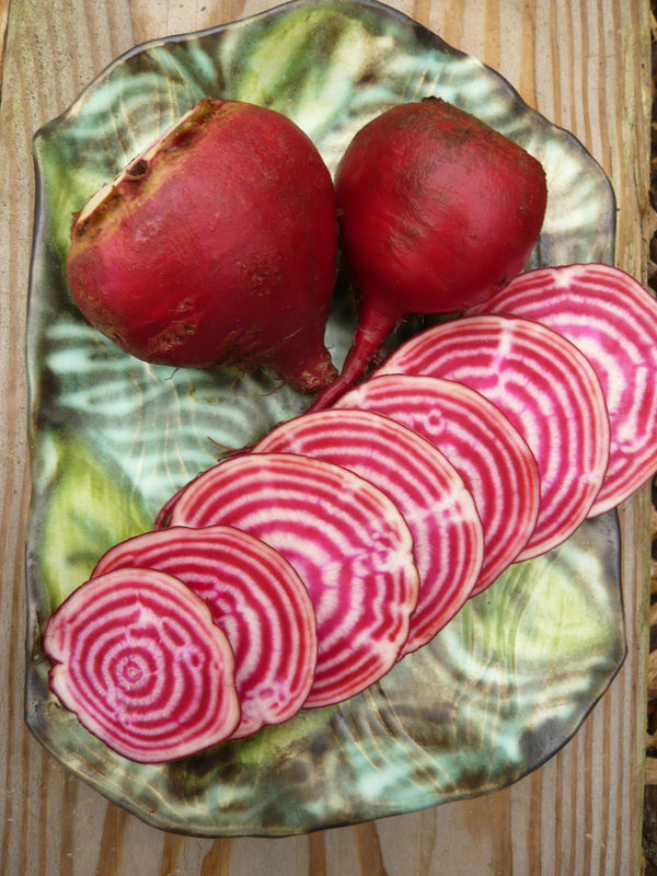 Beet, 'Chioggia'