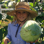 Load image into Gallery viewer, Cabbage, &#39;Columbia&#39;
