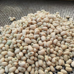 Load image into Gallery viewer, Cowpea, &#39;Fast Lady Northern/Southern Pea&#39;
