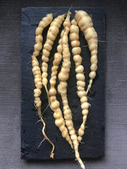 Load image into Gallery viewer, Cucumber (Mexican Sour Gherkin, Cucamelon), &#39;Sandita&#39;
