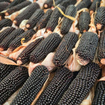 Load image into Gallery viewer, Corn, &#39;Dakota Black&#39;
