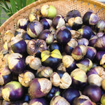 Load image into Gallery viewer, Tomatilla, &#39;De Milpa&#39;
