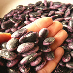 Load image into Gallery viewer, Bean, Pole Runner, &#39;Scarlet Emperor&#39;
