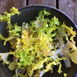 Load image into Gallery viewer, Curly Endive, &#39;Bellesque&#39;
