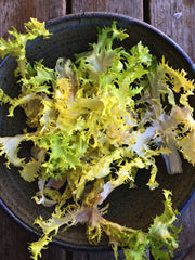 Load image into Gallery viewer, Curly Endive, &#39;Bellesque&#39;
