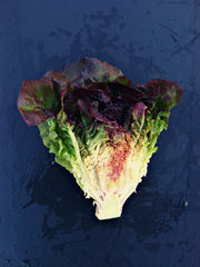 Load image into Gallery viewer, Lettuce, &#39;Eruption&#39;
