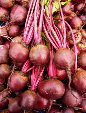 Beet, 'Feuer Kugel'