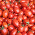 Load image into Gallery viewer, Tomato, &#39;Fiaschetto di Manduria&#39;
