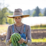 Load image into Gallery viewer, Broccoli, &#39;Broccolo Fiolaro di Creazzo&#39;
