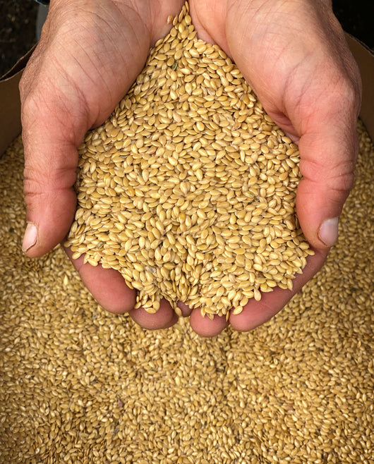 5-Packet Garden Bundle