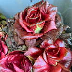 Load image into Gallery viewer, Radicchio, &#39;Rosa Isontina&#39;

