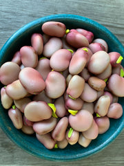 Load image into Gallery viewer, Fava, &#39;Karmazyn&#39;
