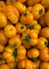 Tomato, 'Afghan'