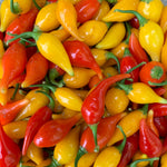 Load image into Gallery viewer, Hot Pepper, &#39;Biquinho Red&#39;
