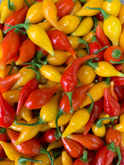 Load image into Gallery viewer, Hot Pepper, &#39;Biquinho Red&#39;

