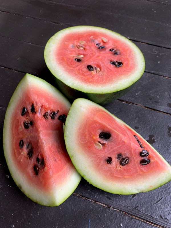 Watermelon, 'Ҫekirdeği Oyali'