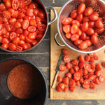 Load image into Gallery viewer, Tomato, &#39;Fiaschetto di Manduria&#39;
