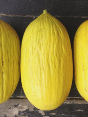 Load image into Gallery viewer, Melon, &#39;Giallo d&#39;Inverno&#39;
