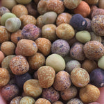 Load image into Gallery viewer, Pea, Dry/Soup, &#39;Roveja&#39;
